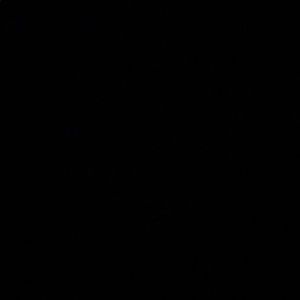 Meet your Posher, Gavin